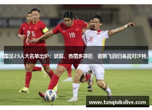 国足23人大名单出炉：武磊、费南多领衔，谢鹏飞回归备战对沙特。