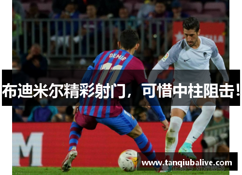 布迪米尔精彩射门，可惜中柱阻击！
